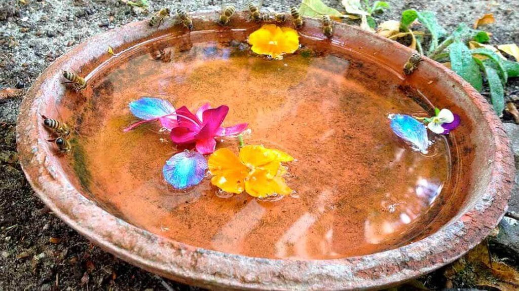 A many bees is sitting on top of the Water thinner.