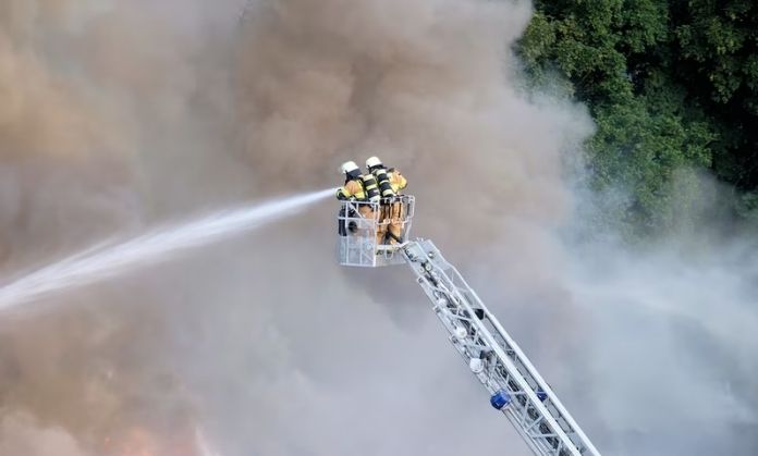 this guys controlling forest fire.