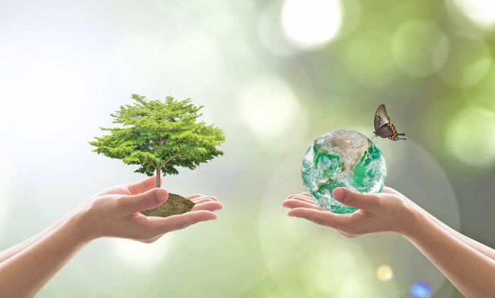 Importance of World Forest Day