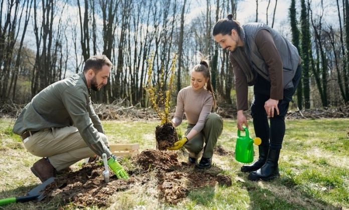 these guys are planting in forest.