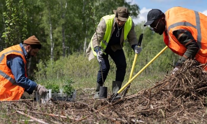 these guys are management of forest.