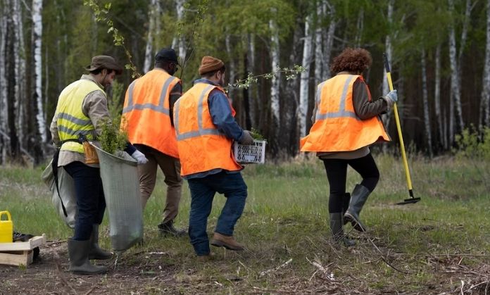 mens are saving the trees.