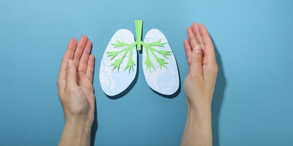 Protect Plants International Day of Plant Health