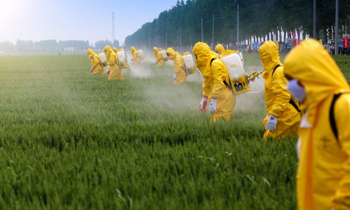 Avoid using pesticides for the ozone layer