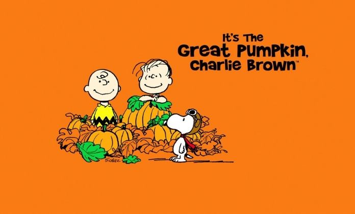It's the Great Pumpkin Charlie Brown Movie cover. Halloween