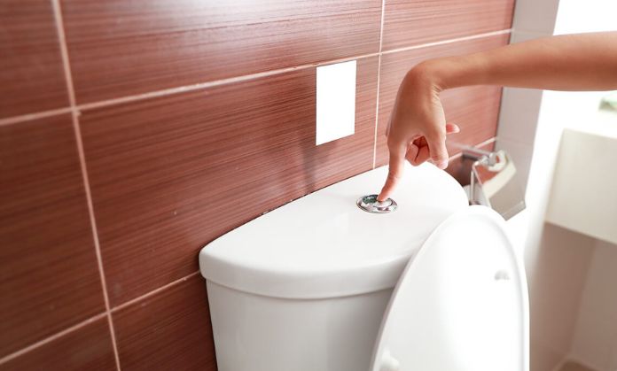 Flush the toilet