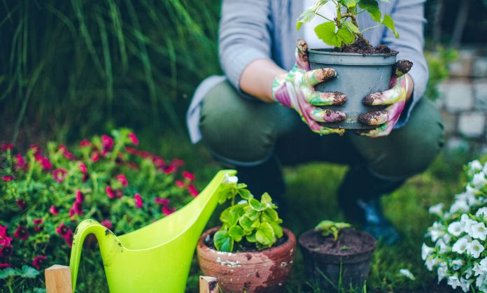 Gardening