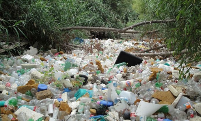 (world environment day) Plastic bags