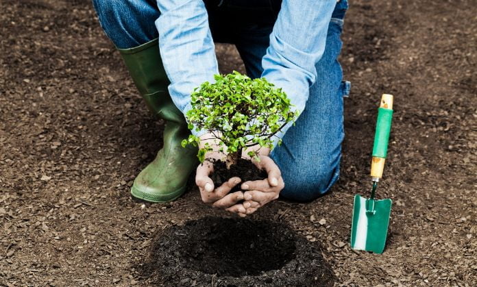 (world environment day) Start Afforestation