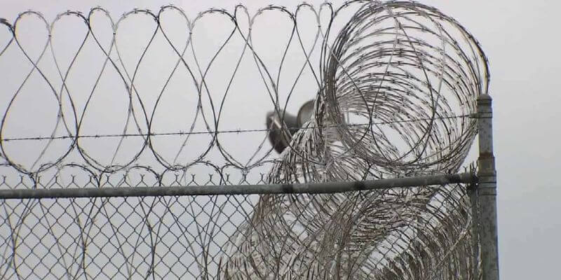 a close-up of a barbed wire fence 